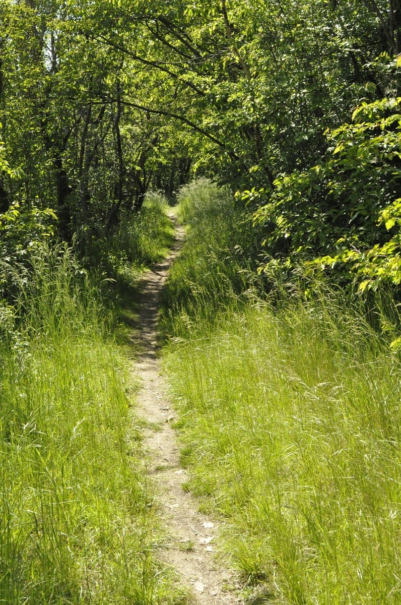 Plán zákazníckej podpory: SLA, kanály, eskalácia