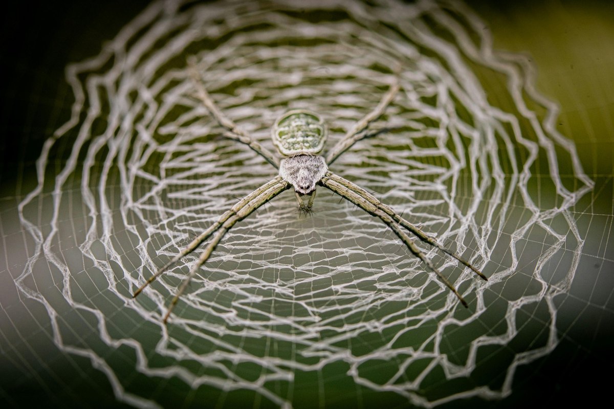 Regulácia dark webu: Nelegálne trhy, kryptomeny a medzinárodná spolupráca