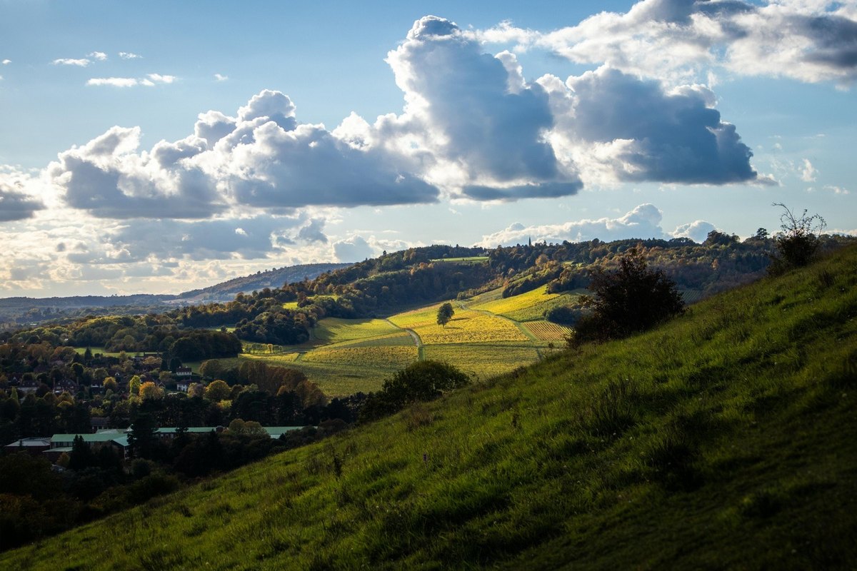 Pigmentové škvrny na rukách