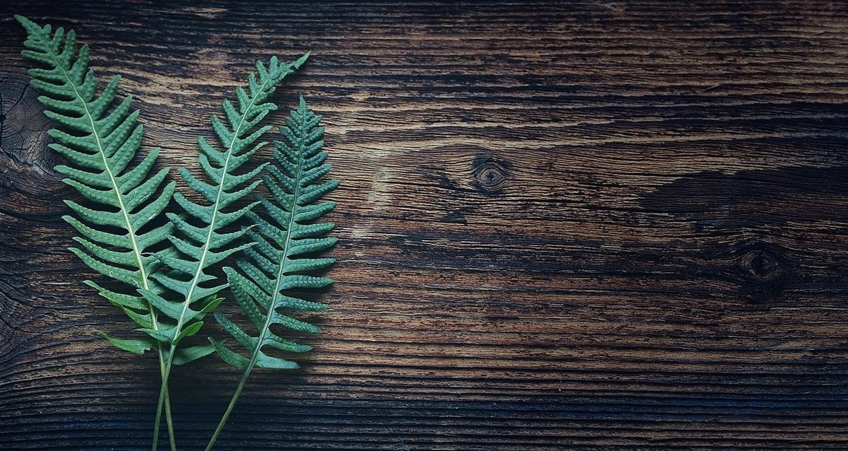 Digital Detox: Vypnúť, aby sme mohli žiť
