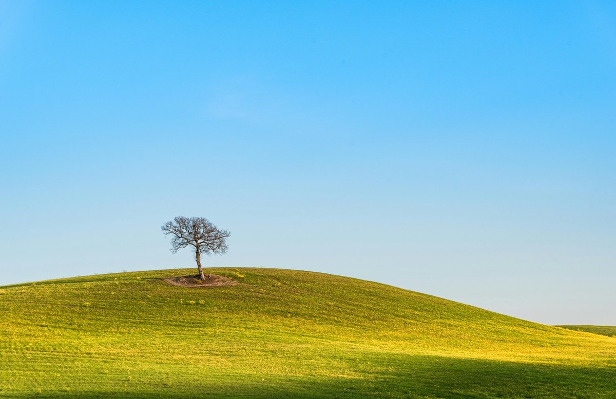 Freelance spolupráca: brief, SLA, fakturácia, scope creep