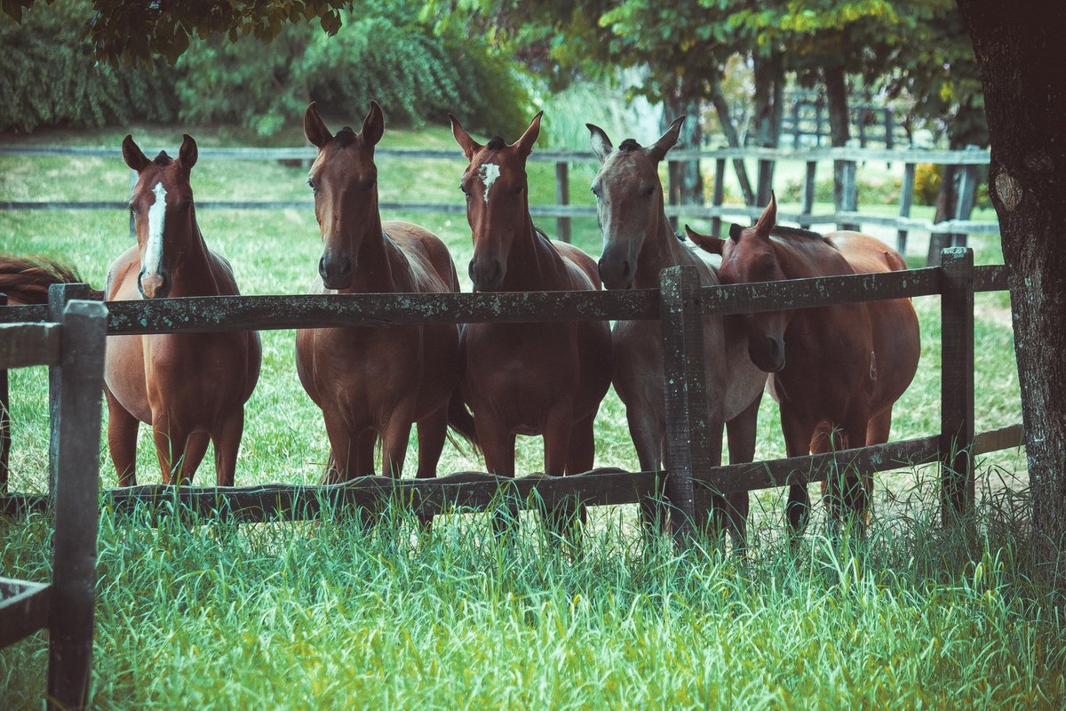 Alergény v kozmetike