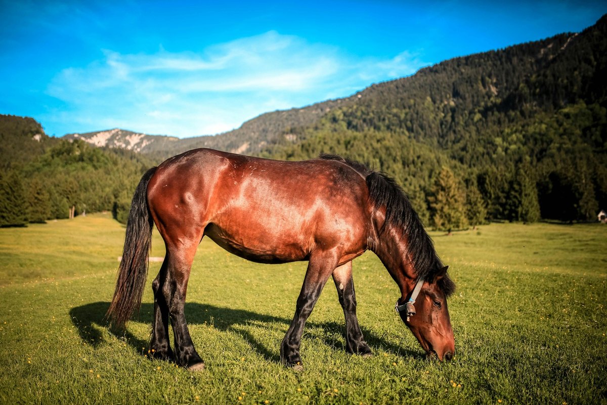 Integrace databází a ORM v PHP: Doctrine, Eloquent