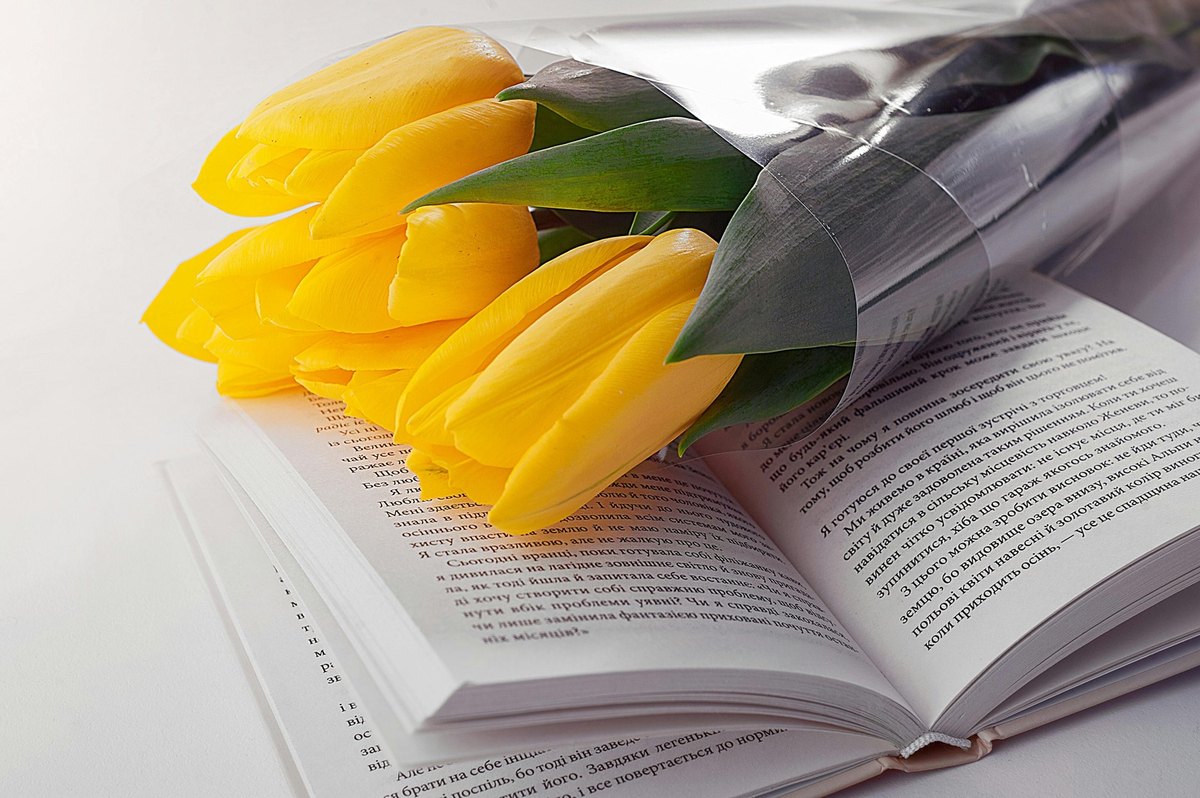Willpower Unlocked: Mastering the Art of Self-Discipline